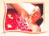 Spa & Ayurveda Tours